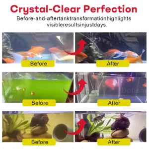 Dobshow® Aqua-Purity Pro (𝟟𝟘% 𝕆𝔽𝔽 𝗘𝗡𝗗𝗦 𝗜𝗡 𝟭𝟬 𝗠𝗜𝗡𝗨𝗧𝗘𝗦)