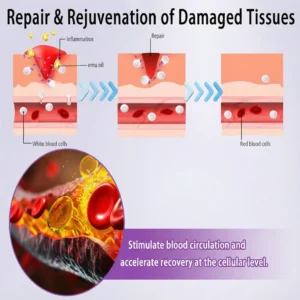 👨‍⚕️New research results | Dobshow® SynoJoint  Synergy Gel with Turmeric & Emu Oil