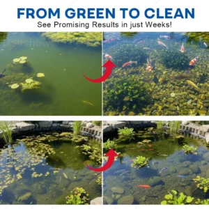 🏆Official Store| Dobshow® AquaClear Instant Pro Formula Powder