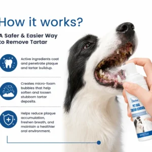 🐶🐱Dobshow® Pet Dental Spray – Fight Tartar & Keep Breath Fresh