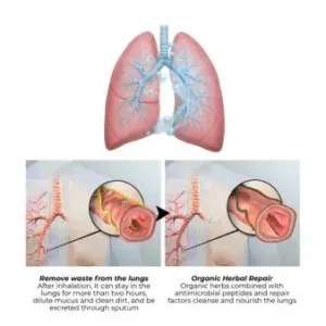 US👨⚕️✅ Dobshow® Botanical Mullein Lung Cleanse Diffuser 🌿(🫁Cough, Pharyngitis, shortness of breath, sputum, stuffy nose, bronchitis, bronchitis, allergy symptoms, lung discomfort💝)