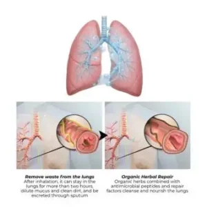 🏆𝐎𝐟𝐟𝐢𝐜𝐢𝐚𝐥 𝐔𝐒 𝐒𝐭𝐨𝐫𝐞🎉Over 100K+ Sold🔥 Dobshow® All-New Upgraded Botanical Mullein Lung Cleanse Diffuser 🌿 — 🫁Restore Your Lung Health